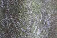 Buchanan Smithy fibreglass roof work